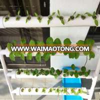 Indoor Small Size Hydroponic System/DIY Hydroponic System/Hydroponic Gardening