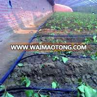 Drip irrigation system for Horticultural greenhouse